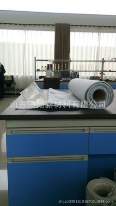 土工膜在藕池防滲中的應(yīng)用與山東廠家供應(yīng)解析